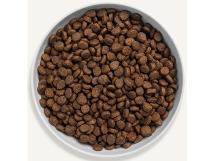 Canagan Cat Dry Free Run Chicken 1,5 kg