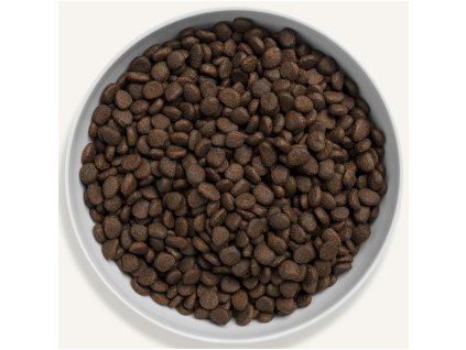 Canagan Cat Dry Scottish Salmon 1,5 kg