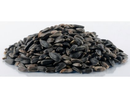 Slunečnice černá Avicentra 1kg