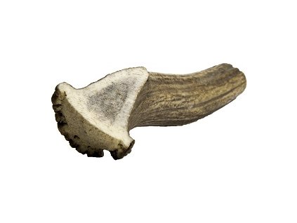 Jelení paroh gigant 180 230g