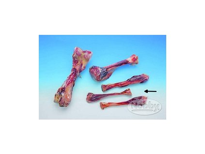 Kost masová vakuově balená Nobby 16 cm, 3 ks