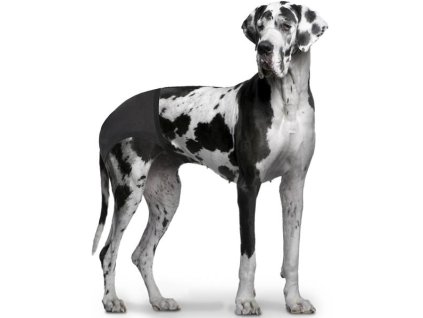 da2fc0d8d597ca244031c46995c1aae5 zb001827 1587562293