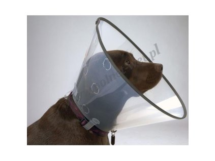 POLnet límec Click System Premium