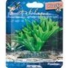 Rostlina plast Fiji Flamingo 9 cm