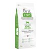 BRIT CARE GRAIN FREE DOG ADULT LARGE BREED S & P 12 KG