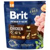 Brit Premium by Nature Senior S+M 1 kg