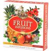 BASILUR Fruit Infusions Assorted prebal 40 gastro sacku