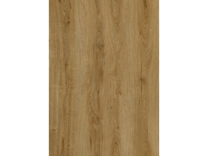 FC29098 29 kopie