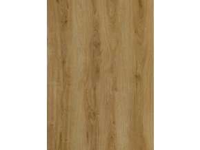 FC29098 29 kopie