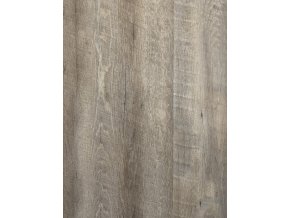 Pecan