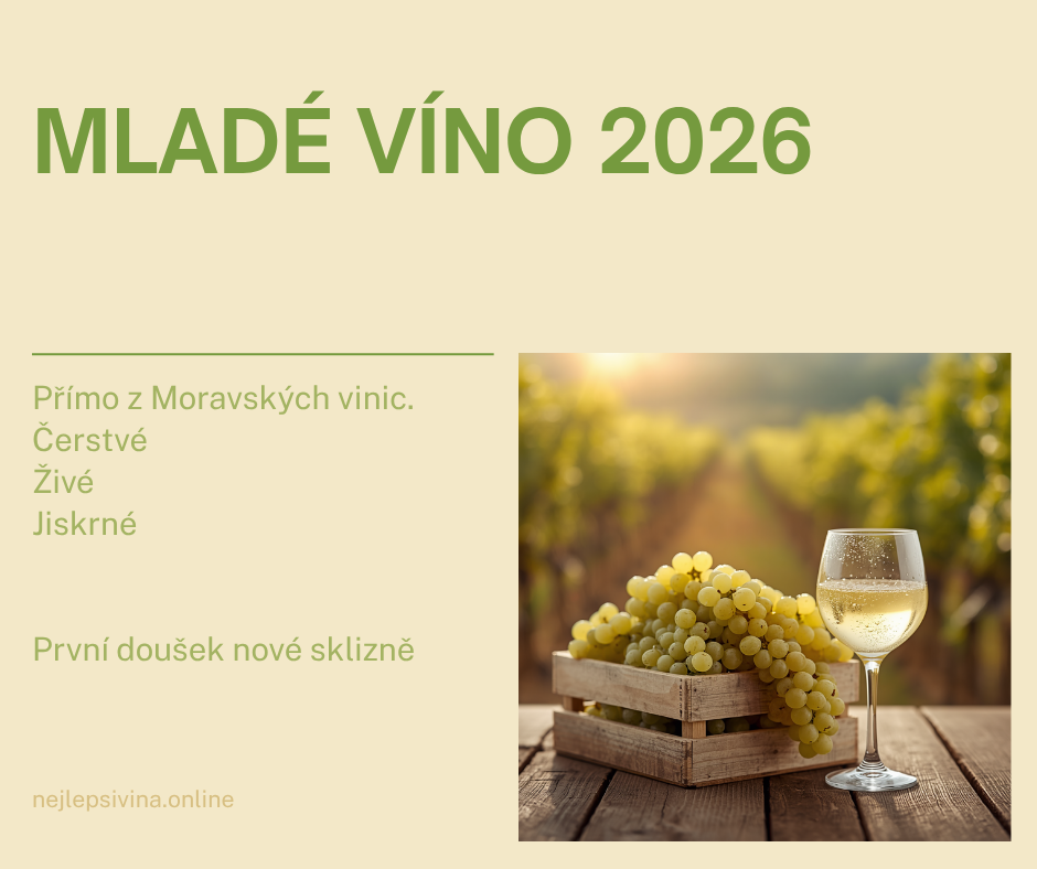 Mladé víno 2026: Proč ho pít hned a na co se těšit z letošní sklizně