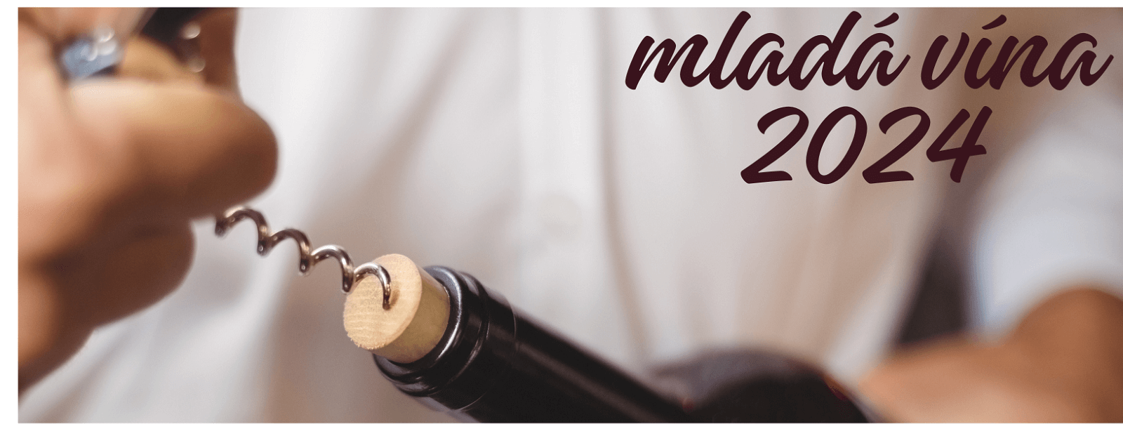 Mladá vína 2024