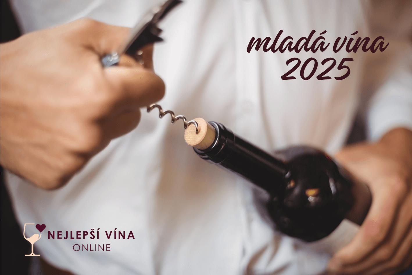 Mladá vína 2025