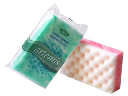 Koupelova-houba-Artemis