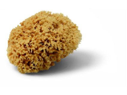 Schuller-Prirodni-Houba