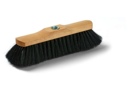 smetak-webster-nature