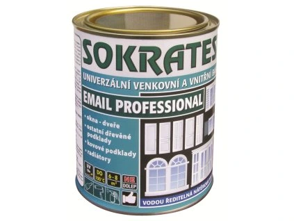 Sokrates-email-professional