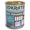 Sokrates-email-professional