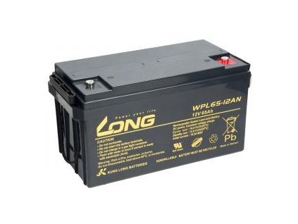 LONG baterie 12V 65Ah M6 LongLife 12 let (WPL65-12AN)