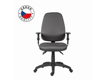 Powerton Kancelářské ergonomické křeslo Anna, Šedé
