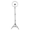 Powerton kruhové světlo 13", bílá LED, velké, nastavení teploty a svítivosti, držák telefonu a stativ