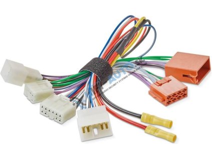 vyr 18318 Focal IW TOY Y ISO titull foto