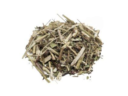 Echinacea nať 50g