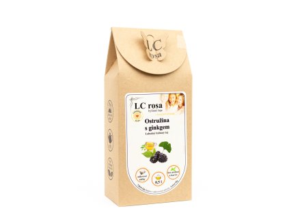 10 ostruzinovy s ginkgem