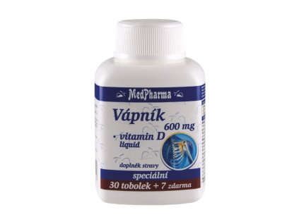 vapnik 600