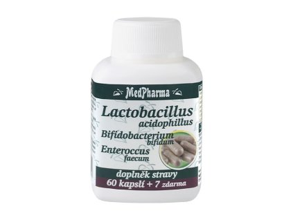 lactobacillus