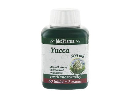 yucca