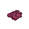 Dračí ovoce ( Pitahaya ) lyofilizované 1 kg