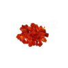 Papaya kostky bez cukru a SO2 - 5 kg