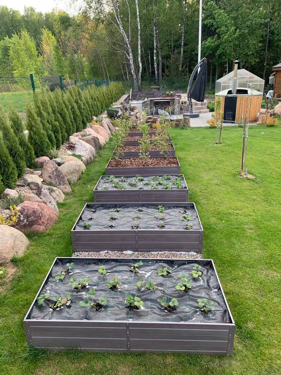 Vyvýšené záhony: Proč zvolit plast místo dřeva? | Rady a tipy