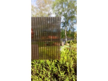 Lexan Thermoclear 10mm,kouř 1050x1000mm