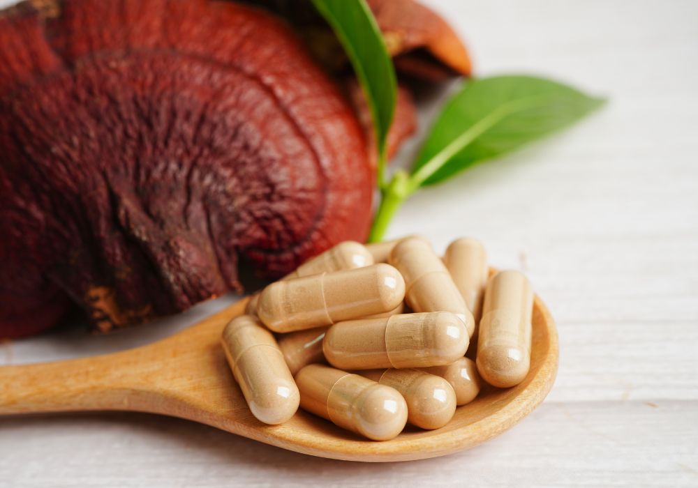 reishi