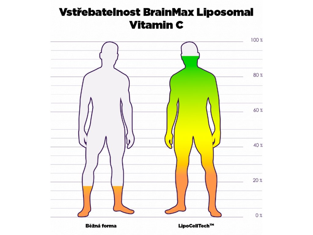 liposomal-vitamin-c-srovnani-bezna-forma