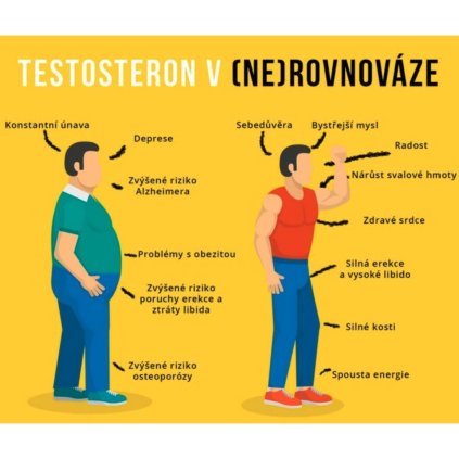 brainmax testamento