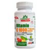 amix provegan vitamin c 1000mg s extraktem