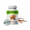 cordyceps vitalni
