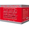scitec nutrition 100 whey protein professional