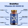 22124 1 brainmax vitamin d3 5000 iu infografika brainmarket cz