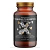 brainmax tribulus terrestris strong kotvicnik
