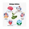 brainmax neurohacker