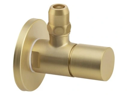 sl019.240359254786599