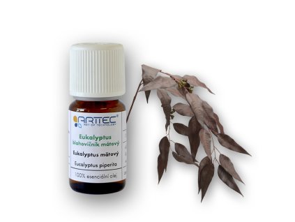 ARTTEC přírodní vonný olej Eukalyptus - blahovičník mátový 10 ml NAT00045