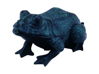 1315 1 vodni chrlir zaba