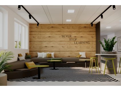 Hopa SPC nástěnný obklad vnitřní - Oak Tarvos Rozměr A - 30 , Rozměr C - 120 DSPCW3010