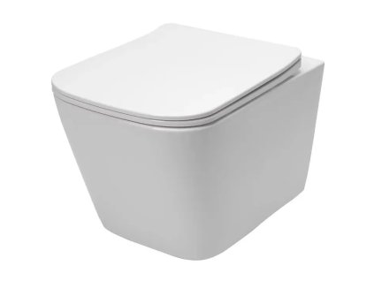 Rea Raul rimless WC keramické závěsné se sedátkem, REA-C9660