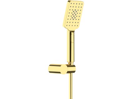 Deante Alpinia sprchový set, zlatá, NGA_Z41K